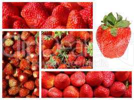 Strawberry collage