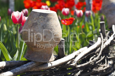 old clay jug and tulips