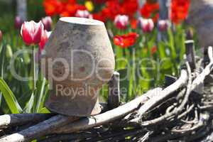 old clay jug and tulips