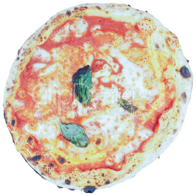 Margherita pizza isolated