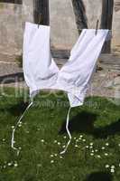 weiße Hose auf der Wäscheleine