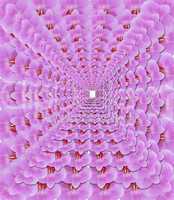 pattern from pink petals of orchid
