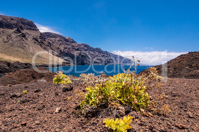 Das Tenogebirge auf Teneriffa