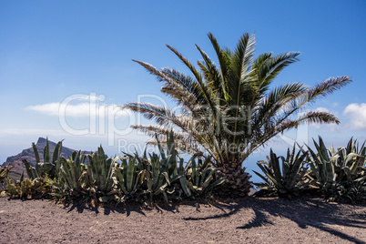 Landschaft auf Teneriffa