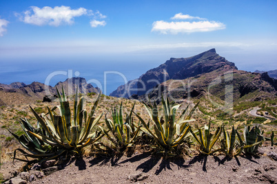 Landschaft auf Teneriffa