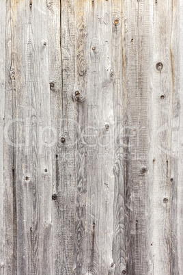 Vintage  white background wood wall.