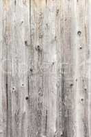 Vintage  white background wood wall.