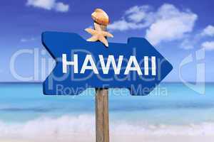 Hawaii mit Strand und Meer in den Ferien im Sommer