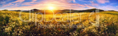 Panorama of a colorful sunset on beautiful meadow