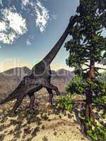 Brachiosaurus dinosaur eating wollomia pine - 3D render