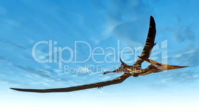 Pteranodon bird flying - 3D render