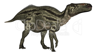 Shantungosaurus dinosaur - 3D render