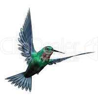 Emerald hummingbird - 3D render