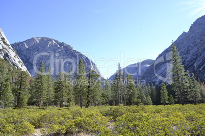 Hiking in Kings Canyon