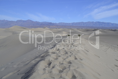 Dunes in death valley