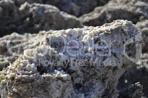 Salty rock at the Death Valley