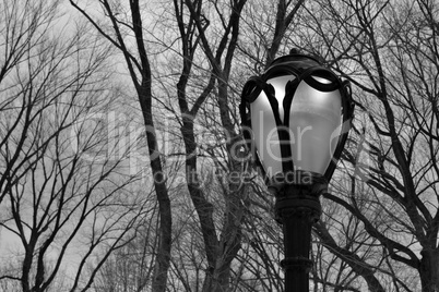 Lamppost in Central Park