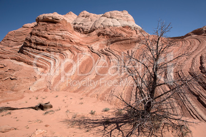 White Pocket Canyon, Arizona, USA