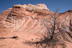 White Pocket Canyon, Arizona, USA