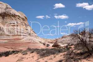 White Pocket Canyon, Arizona, USA