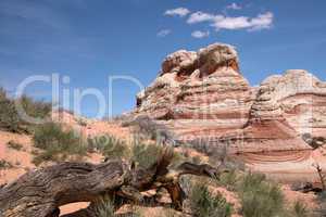 White Pocket Canyon, Arizona, USA