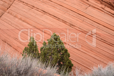 Coyote Buttes South, Utah, USA