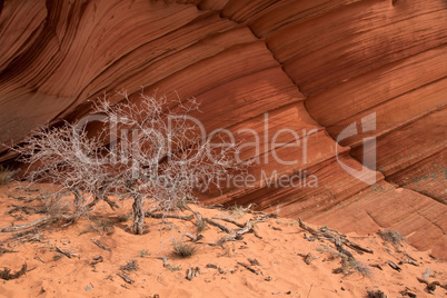 Coyote Buttes South, Utah, USA