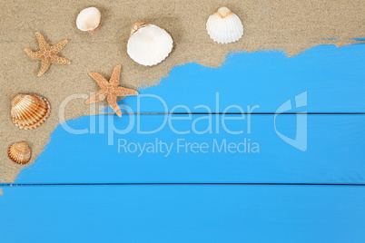 Muscheln und Seesterne im Sand am Strand im Urlaub mit Textfreir