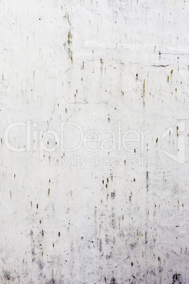 Grungy white concrete wall background