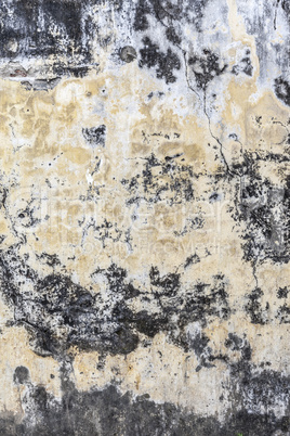 Grungy Concrete Old Texture Wall