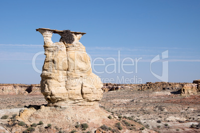 Yellow Eagle Arch, Arizona, USA