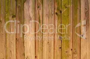 Wooden texture