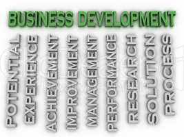 3d image Business development issues concept word cloud backgrou