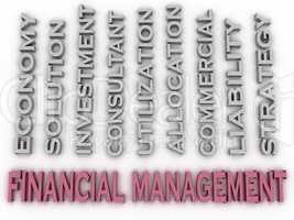 3d image Financial management issues concept word cloud backgrou