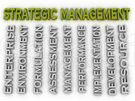 3d image Strategic management issues concept word cloud backgrou