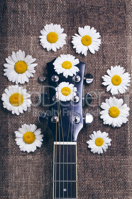 guitar and daisy flowers