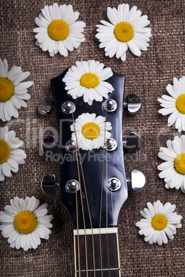 guitar and daisy flowers