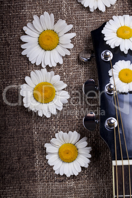 guitar and daisy flowers