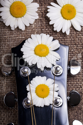 guitar and daisy flowers