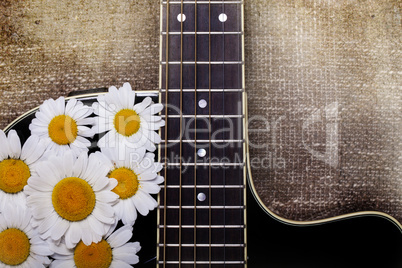 guitar and daisy flowers