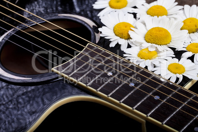 guitar and daisy flowers