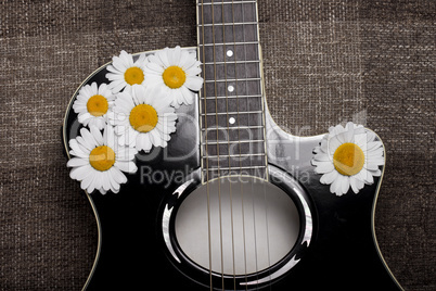 guitar and daisy flowers