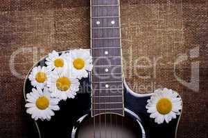 guitar and daisy flowers