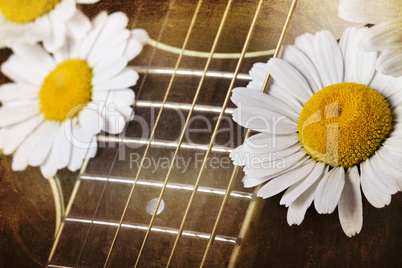 guitar and daisy flowers