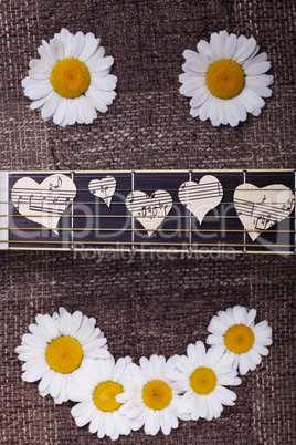 smile of daisies and guitar