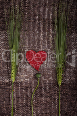 abstract hearts and ears of corn
