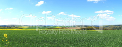 Landschaft im Hunsrück Panorama