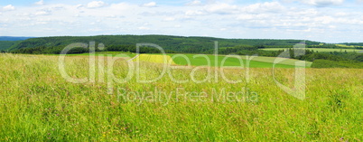 grüne Landschaft zwischen Moseltal und Hunsrück..