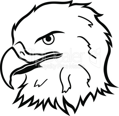 Head of Eagle
