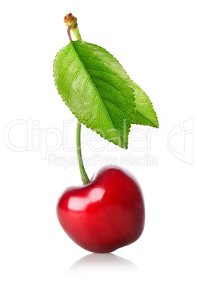 Cherry with leaf